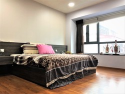 Jansen 8 (D19), Terrace #191695042